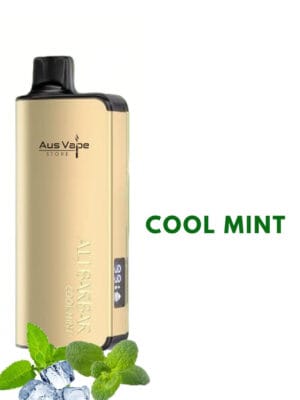 ALIBARBAR INGOT - COOL MINT - 9000 PUFFS