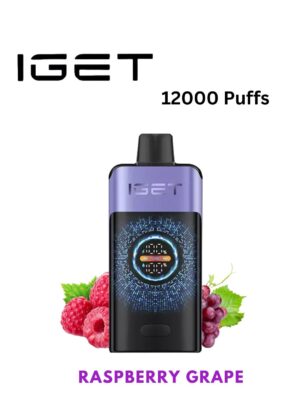 IGET ONE - RASPBERRY GRAPE - 12000 PUFFS
