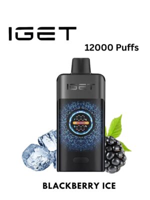 IGET ONE - BLACKBERRY ICE - 12000 PUFFS
